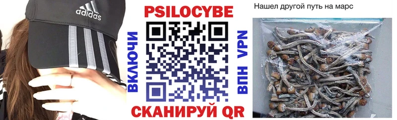 Псилоцибиновые грибы MAGIC MUSHROOMS Малаховка